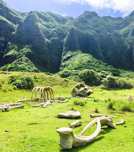 Come and experience the amazing beauty of kualoa on our one of a kind jurassic valley zipline adventure! Kualoa Ranch Jurassic Park Of Hawaii Review Adventure For Less